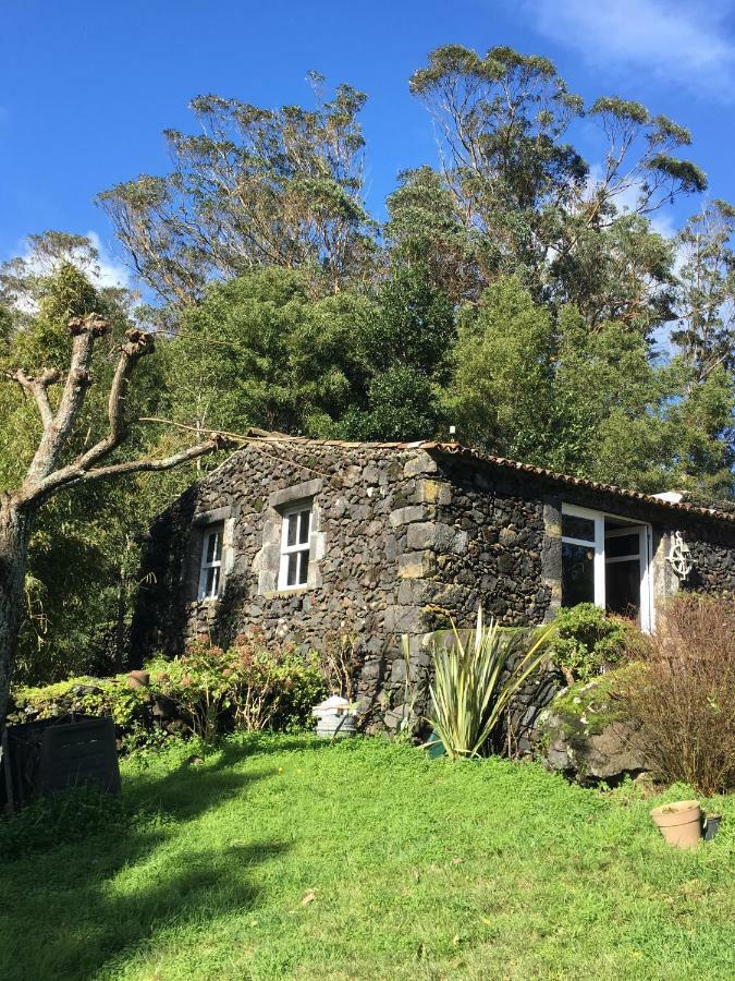 Pink House Azores Понта Делгада Екстериор снимка