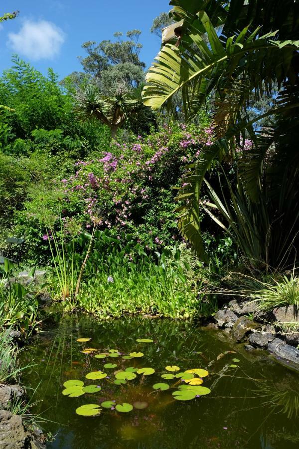 Pink House Azores Понта Делгада Екстериор снимка